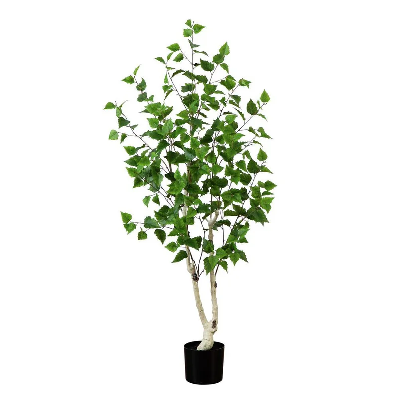 hubert3558805