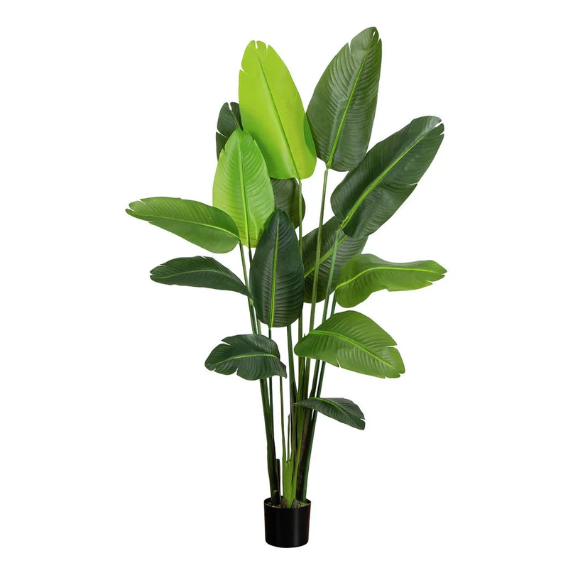 hubert3561271