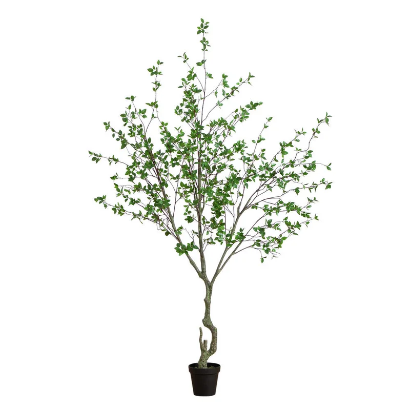 hubert3561513